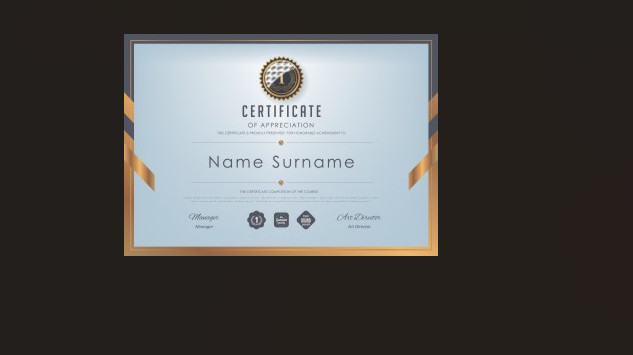 Professional Certificate Templates Designs Bundle 1000+ Vectors Fully Editable