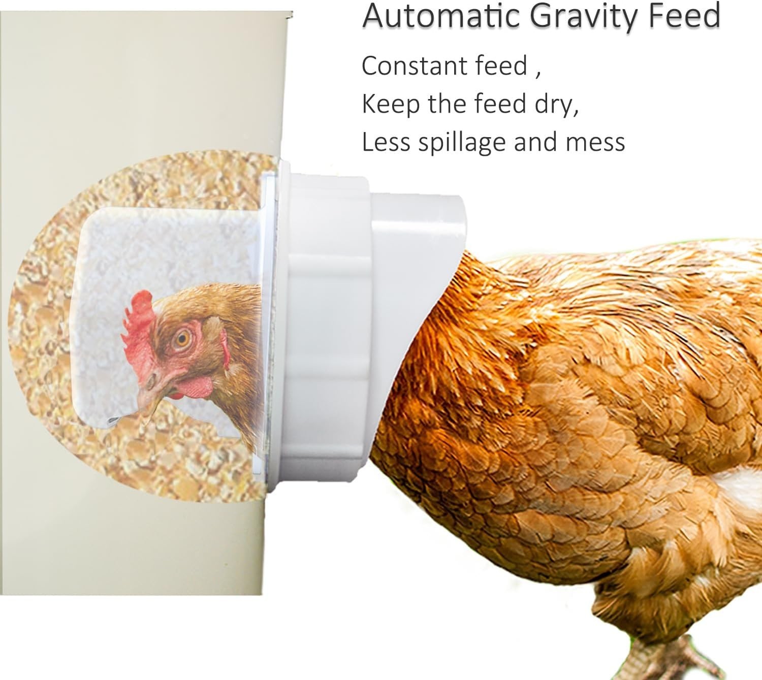 4-Port Gravity Chicken Feeder with Hole Saw - Durable & Mess-Free Solution