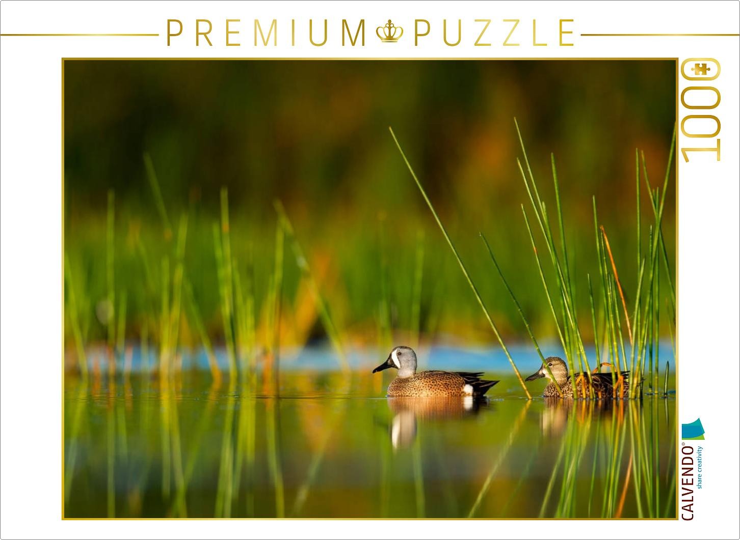 CALVENDO Puzzle Enten im stillen Wasser 1000 Teile Puzzle quer | 1000 Teile Lege