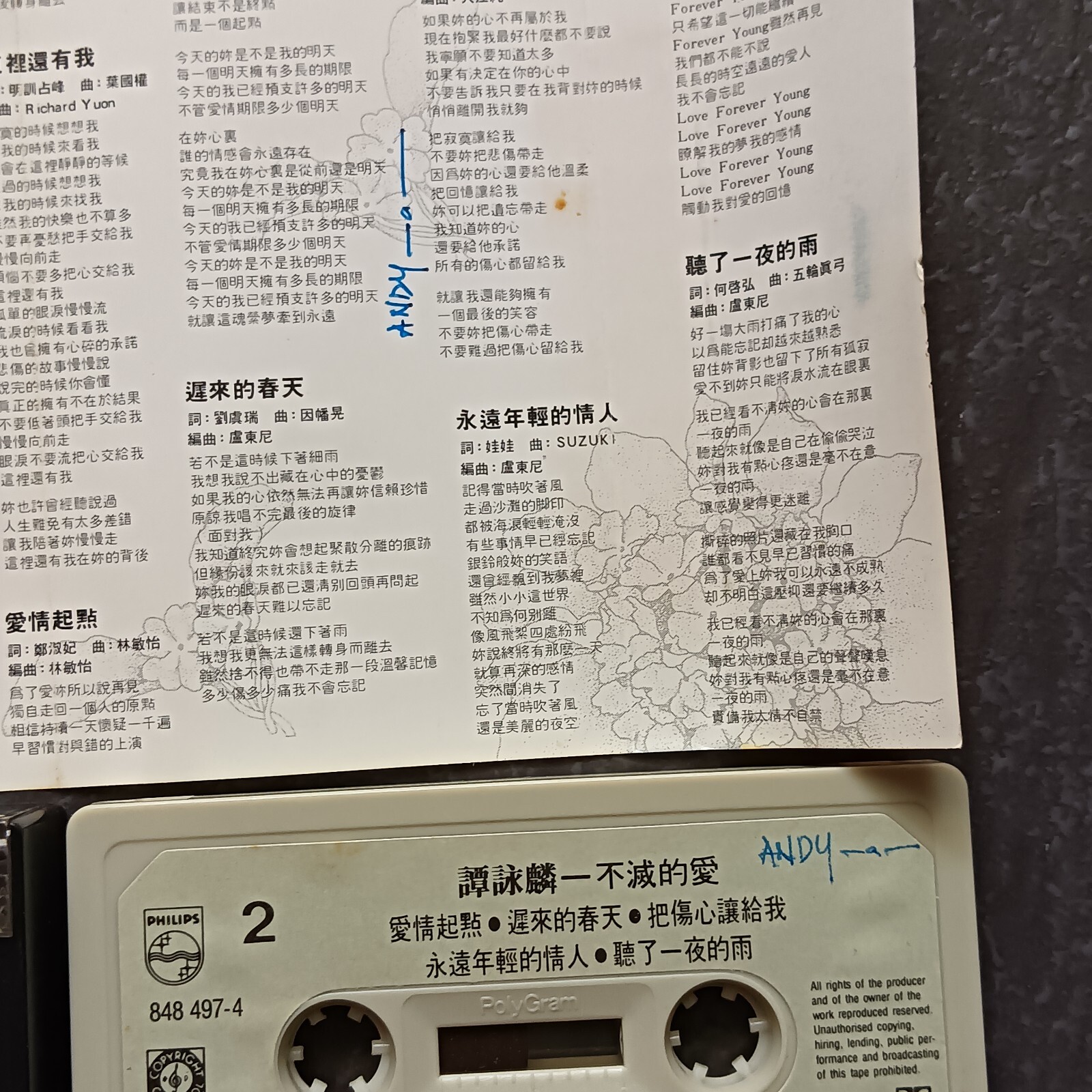 B- Alan Tam 谭咏麟 =不灭的爱= 马来西亚版 磁带 Malaysia Cassette