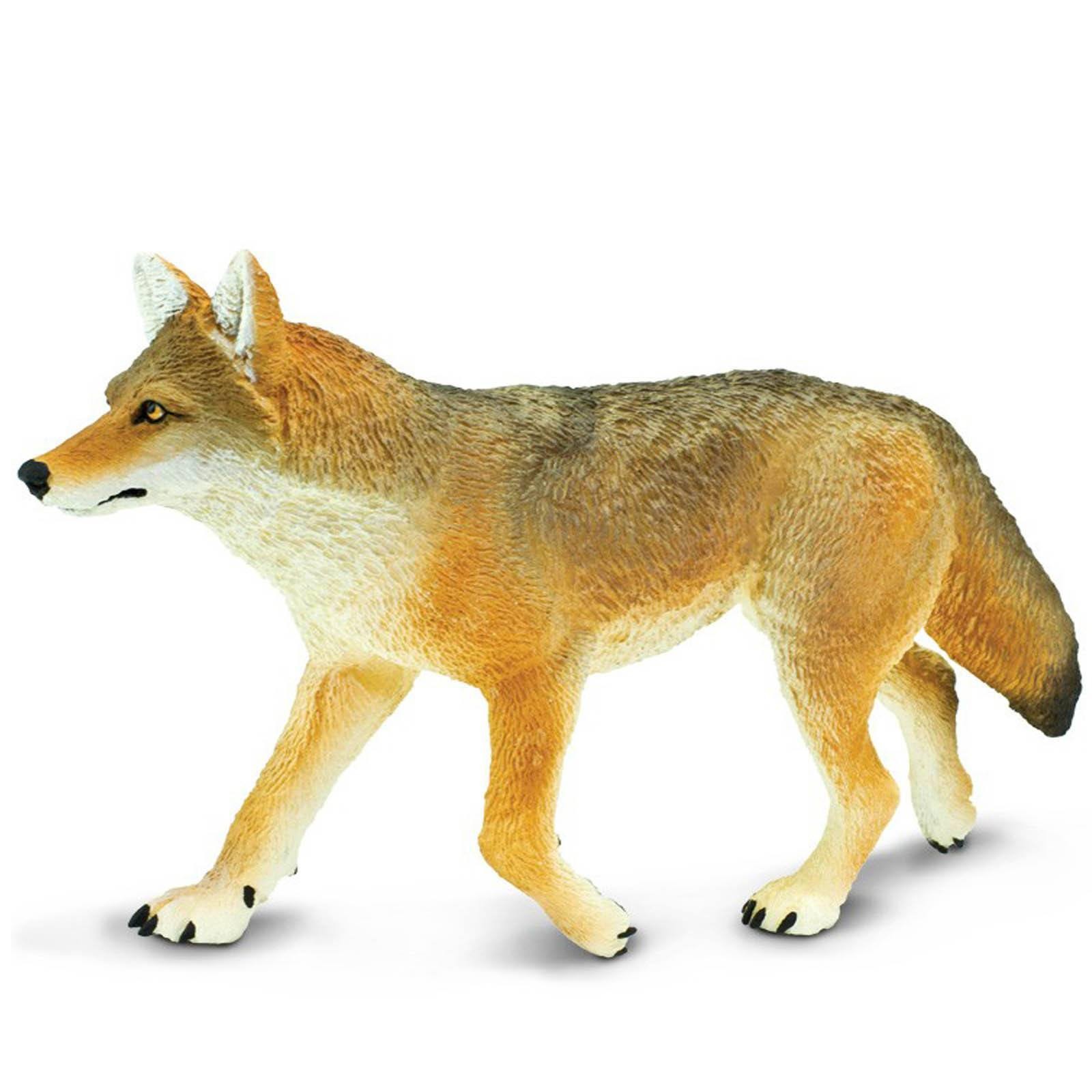 Coyote Wildlife Wonders Figure Safari Ltd NEW