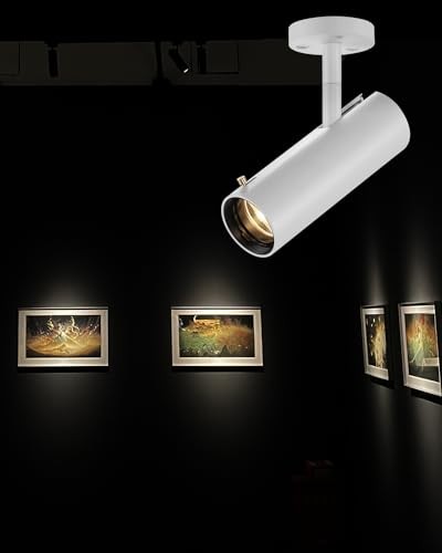 Ceiling Spotlight – 9W Adjustable LED 9W-3000K Surface Mounted Dimming -White