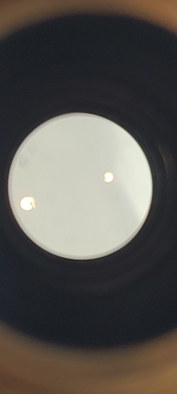 Aus Jena Microscope Objective 10 0.25 160/- 352 233