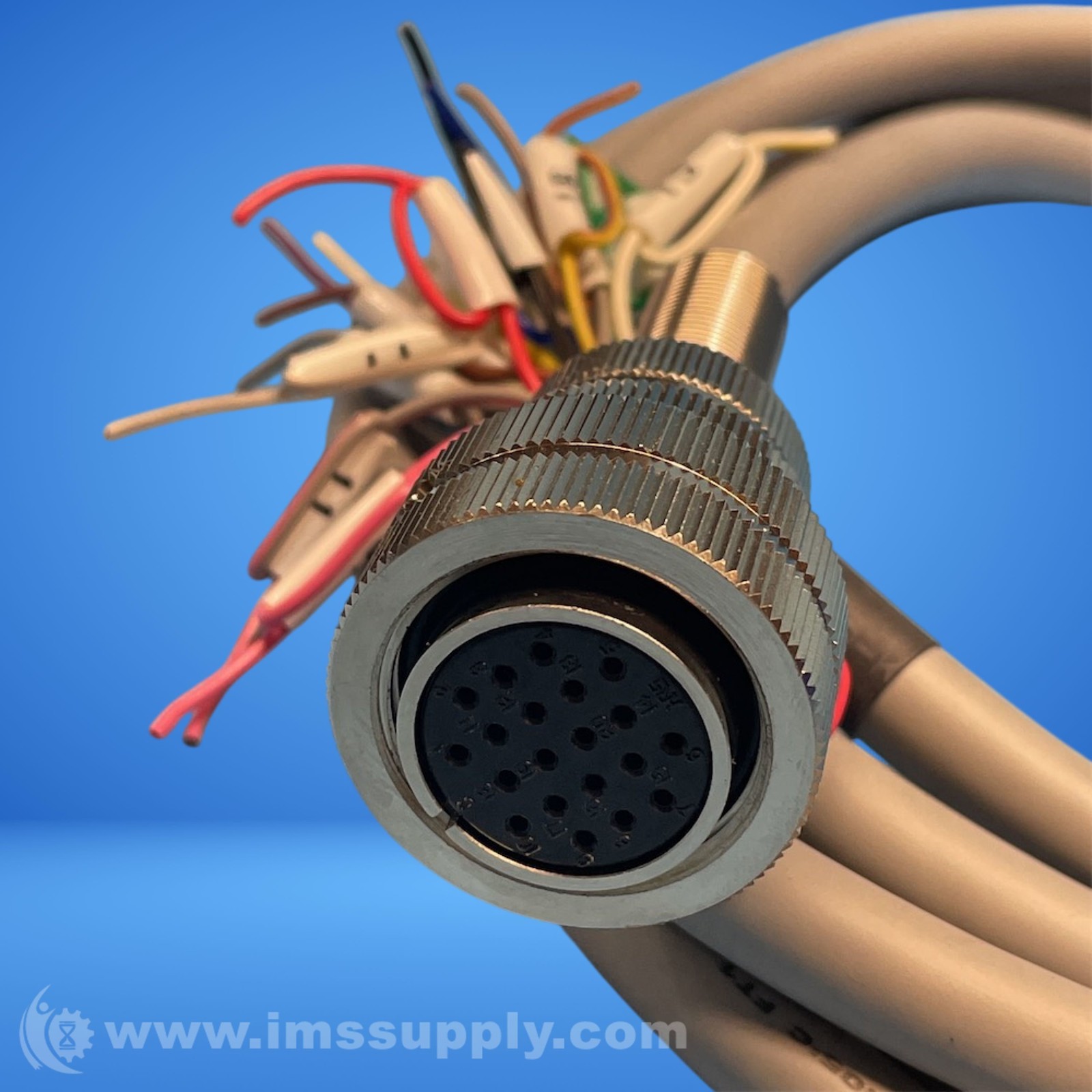 TE Connectivity 19P M12 Female Cable FNIP