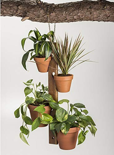 Kalmar Home 4 Pot Hanging Plant Holder Multicolor Inch standard Functional Gift