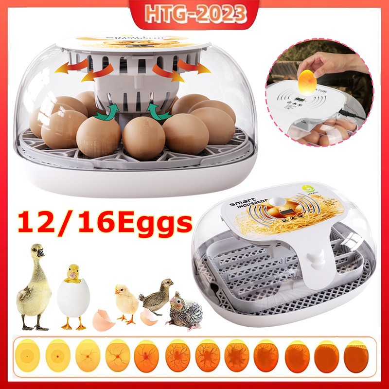 12/16 Egg Incubator Fully Automatic Brooder Flat Incubator with LED Lighting