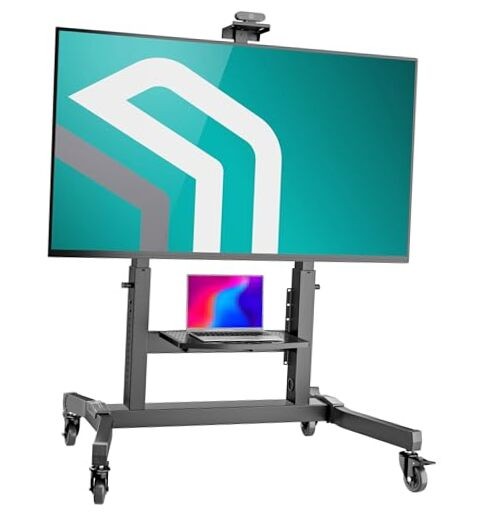 Mobile TV Stand on Wheels for 50-100 Inch Screen, max Load 286 lbs, TS1991-B