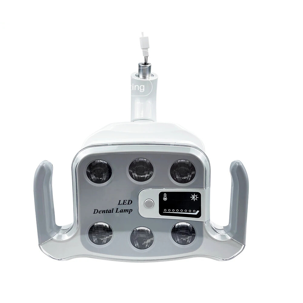 Dental LED Lamp Shadowless Sensitive Light with Induction Teeth Whitening 22mm