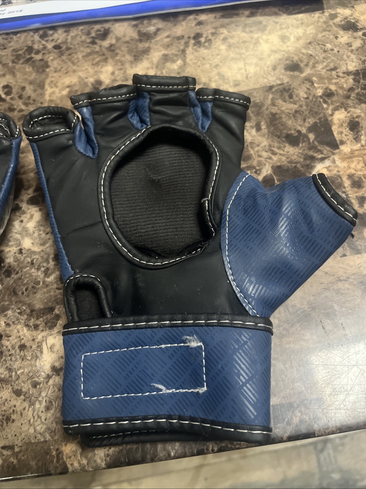 Century Sparring Gloves E575 Size Large