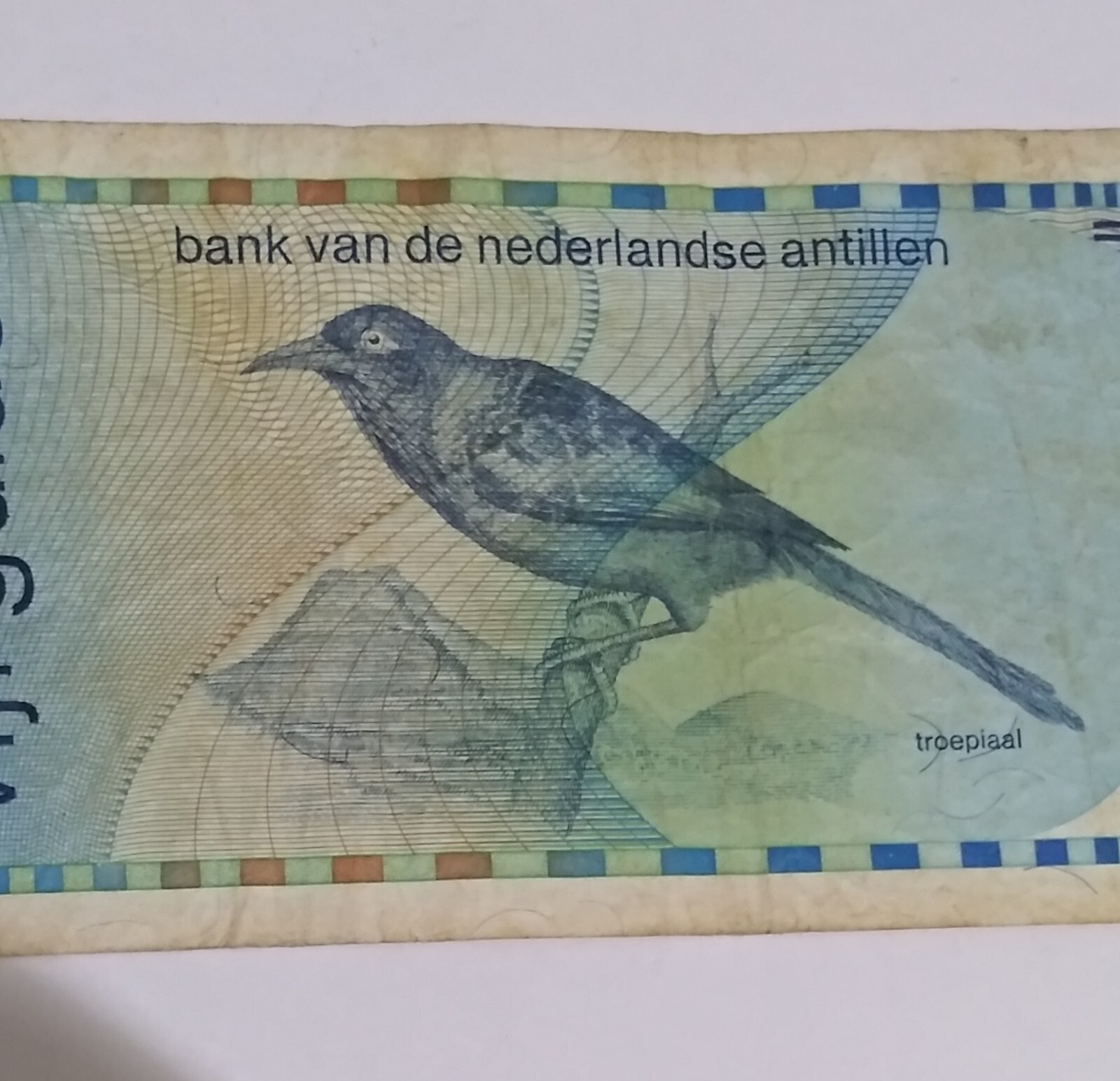 1986 Netherlands Antilles 5 Gulden Circulated Banknote
