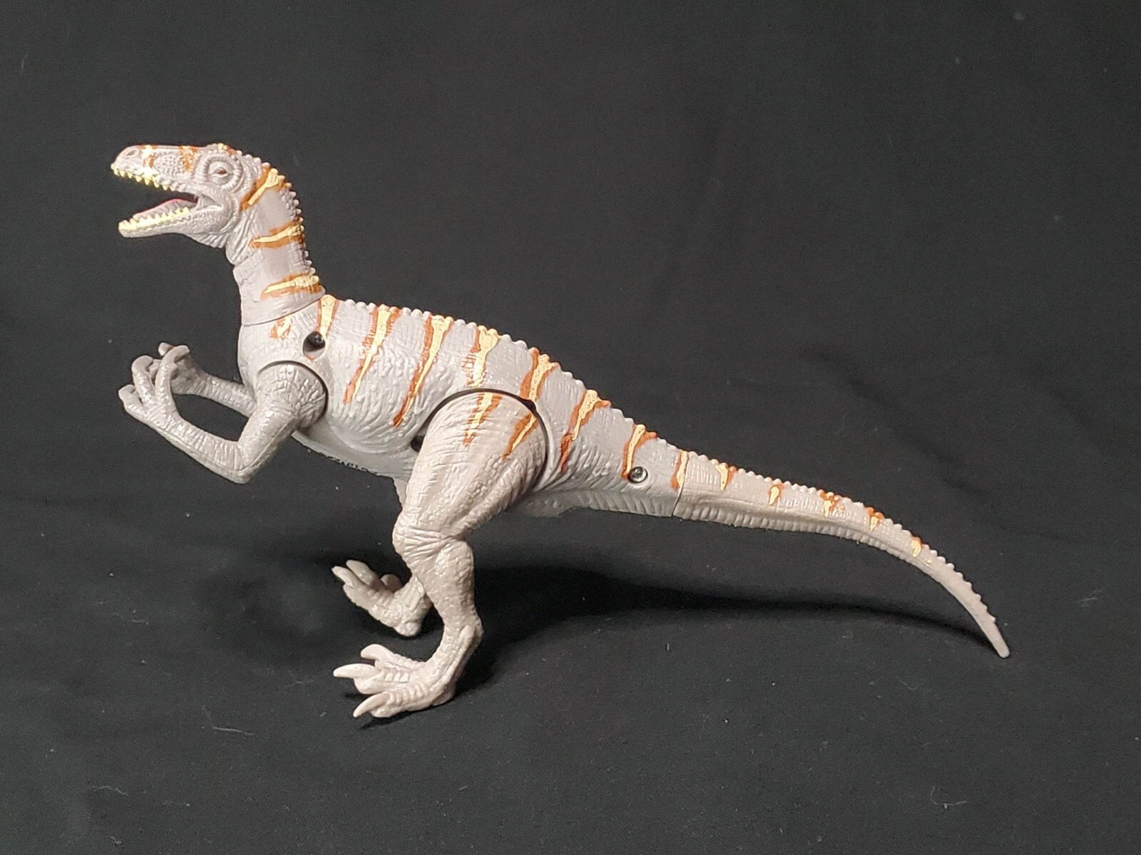 Australovenator Dinosaur 4.75" Educational Toy