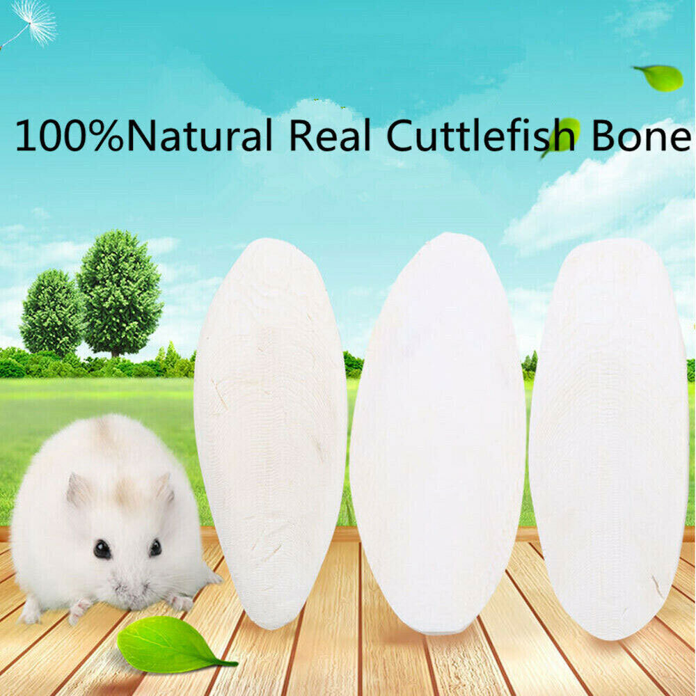 10-20Pc Cuttlebone for Birds Parrot Chewing Cuttle bone for Sharp Beaks 2.4-3.1"