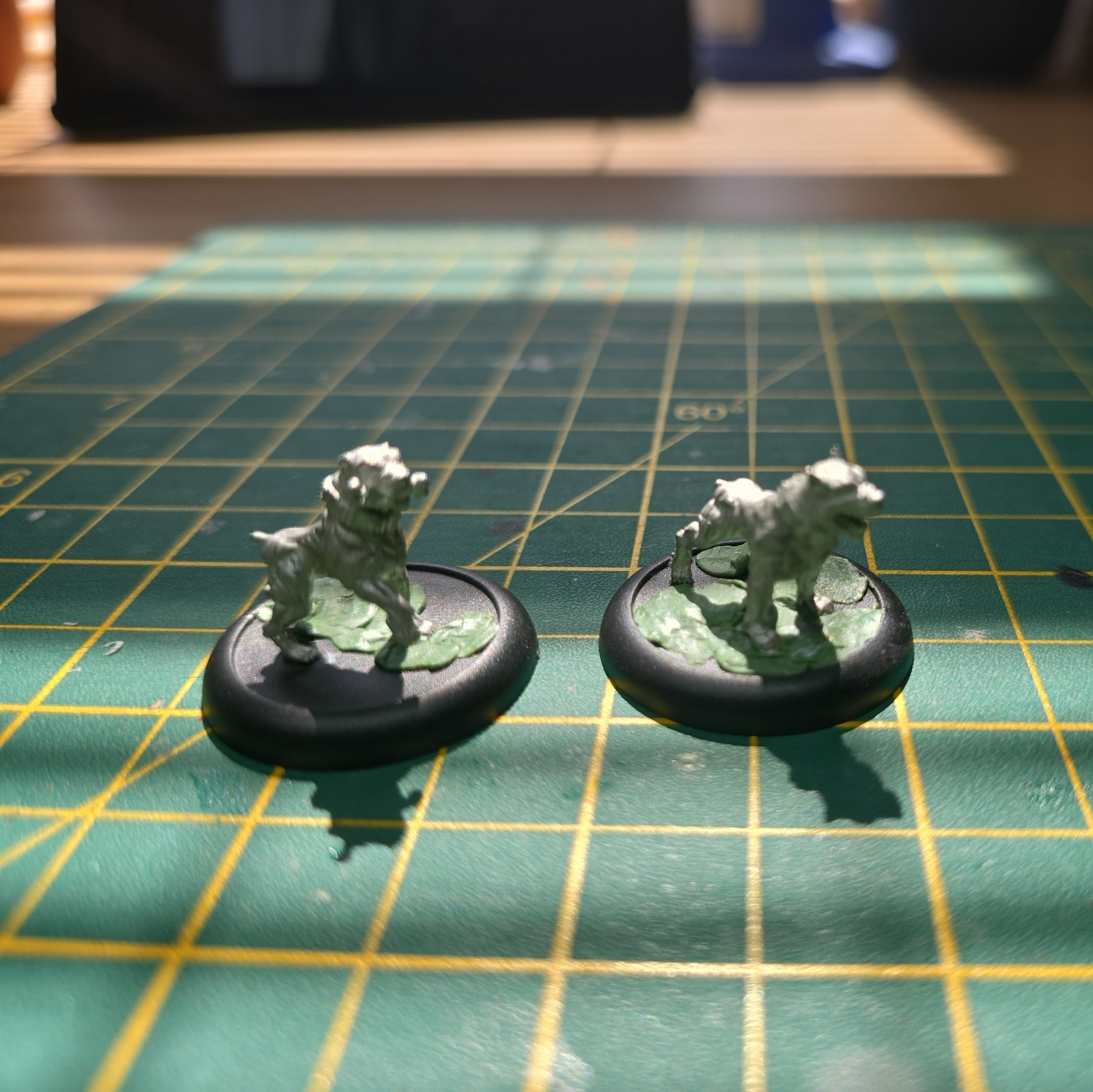 Bushido Pit Dogs