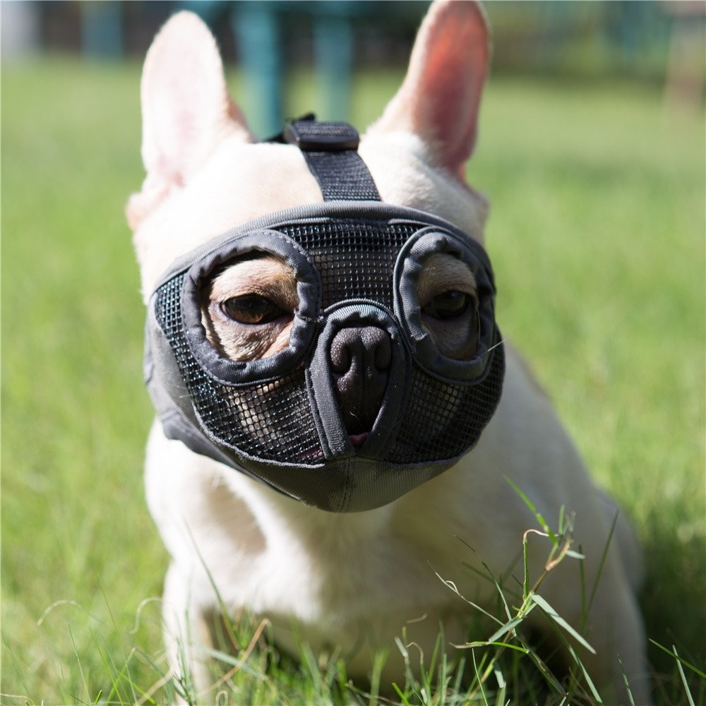 Short Snout Dog Muzzle- Adjustable Breathable Mesh Bulldog Muzzle for Biting ...
