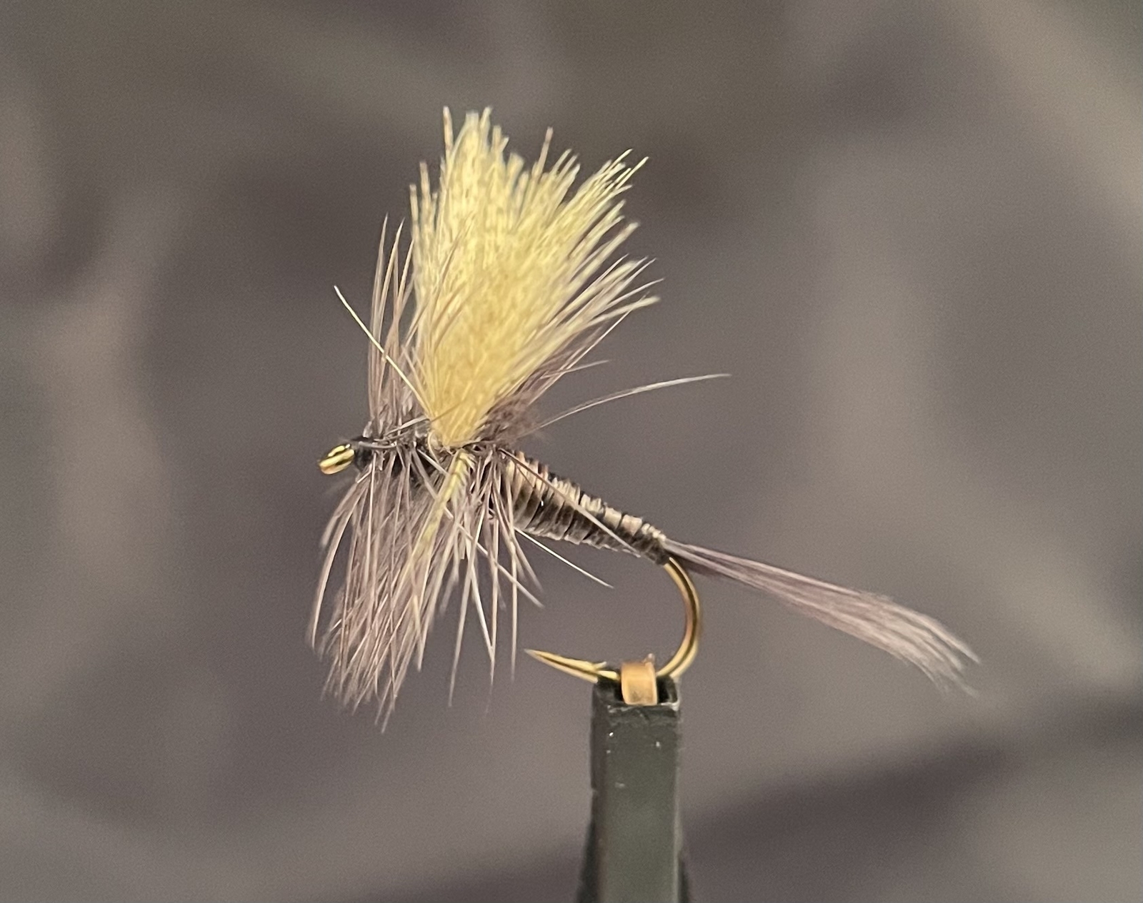 May Fly Black