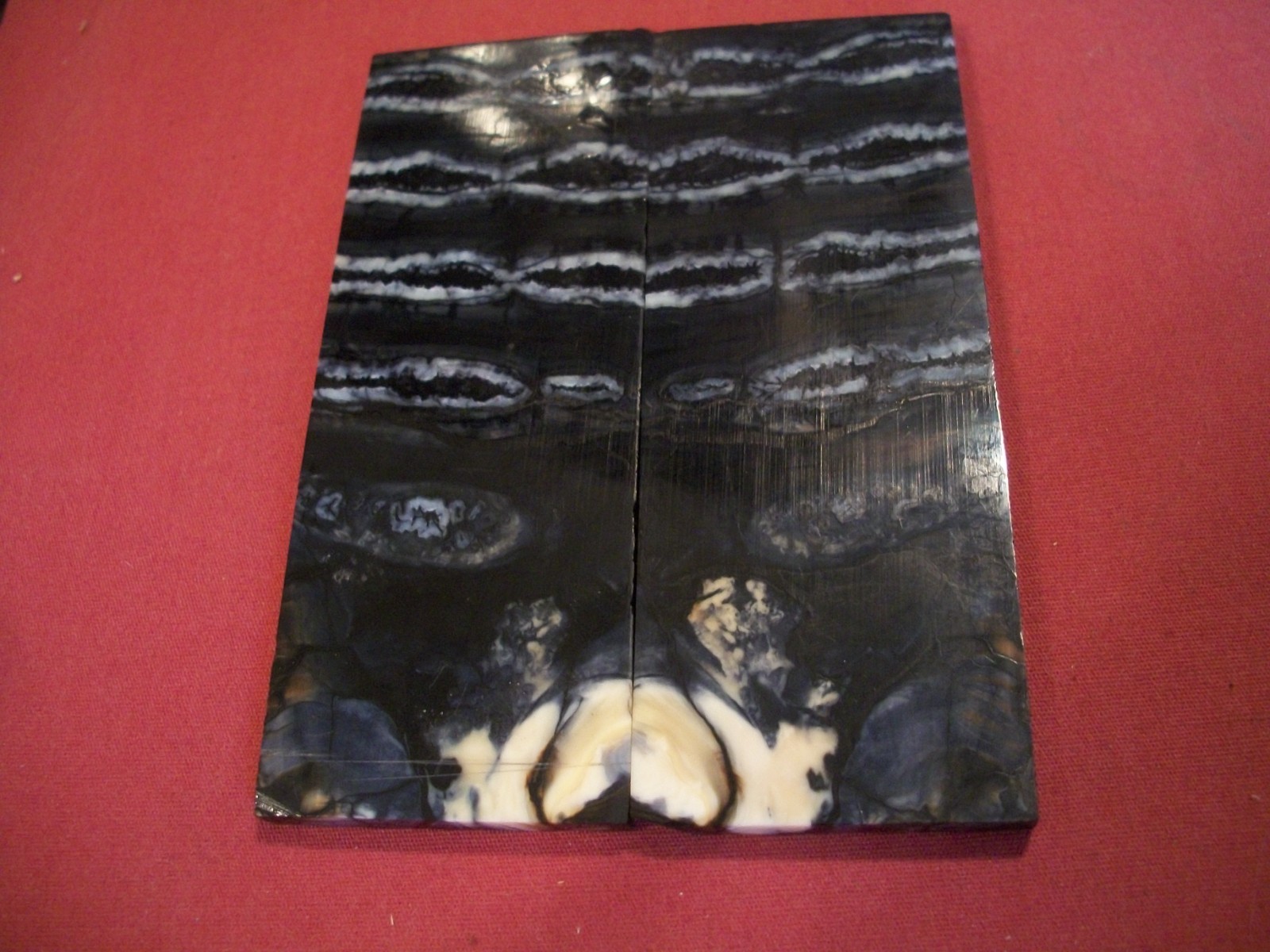 Book Matched Fossilized  Tooth Knife Handle Blanks