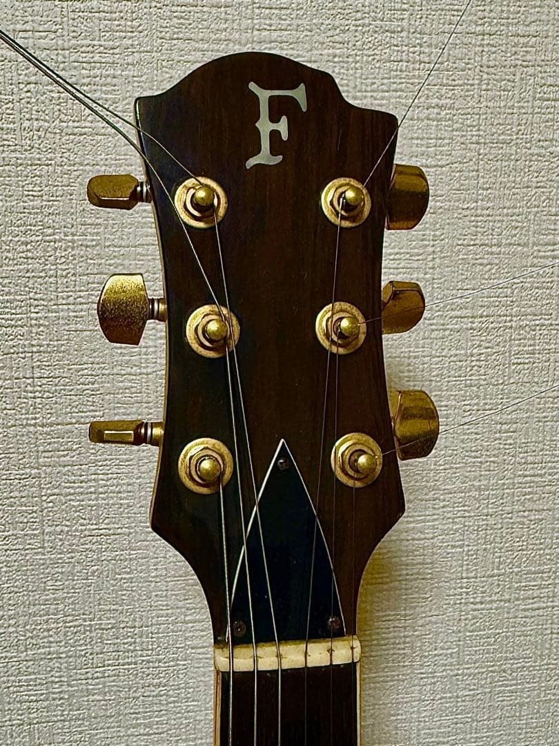 Fernandes Mockingbird Electric Guitar Body