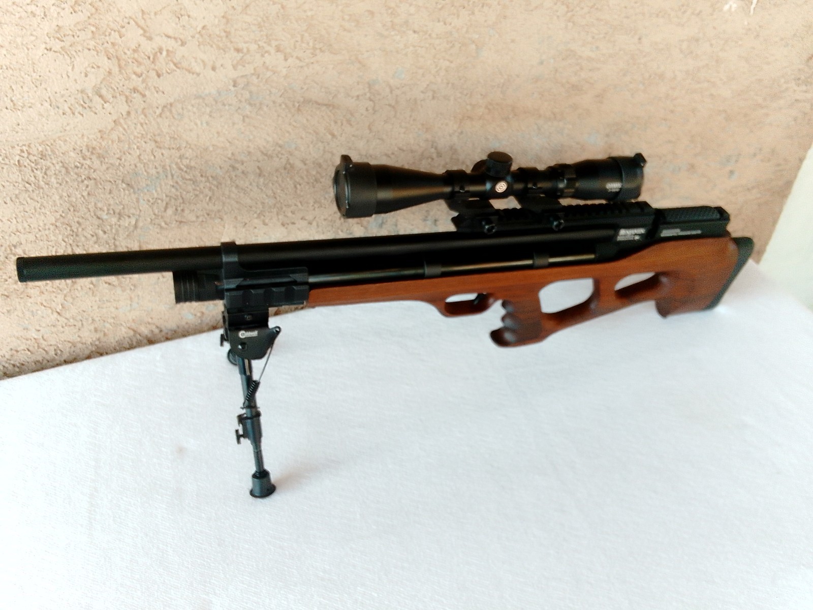 Benjamin Akela .177