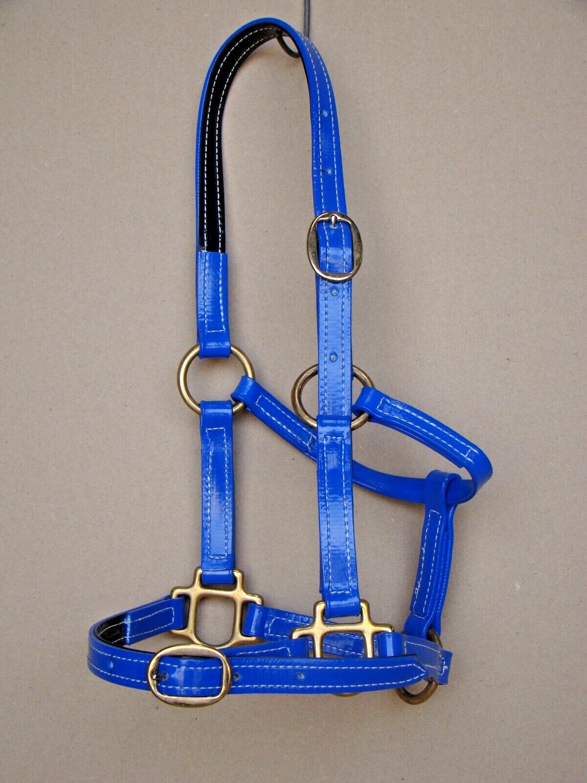 Auscoat PVC Headstall - Solid Brass - Warmblood, Draft -16 Colours