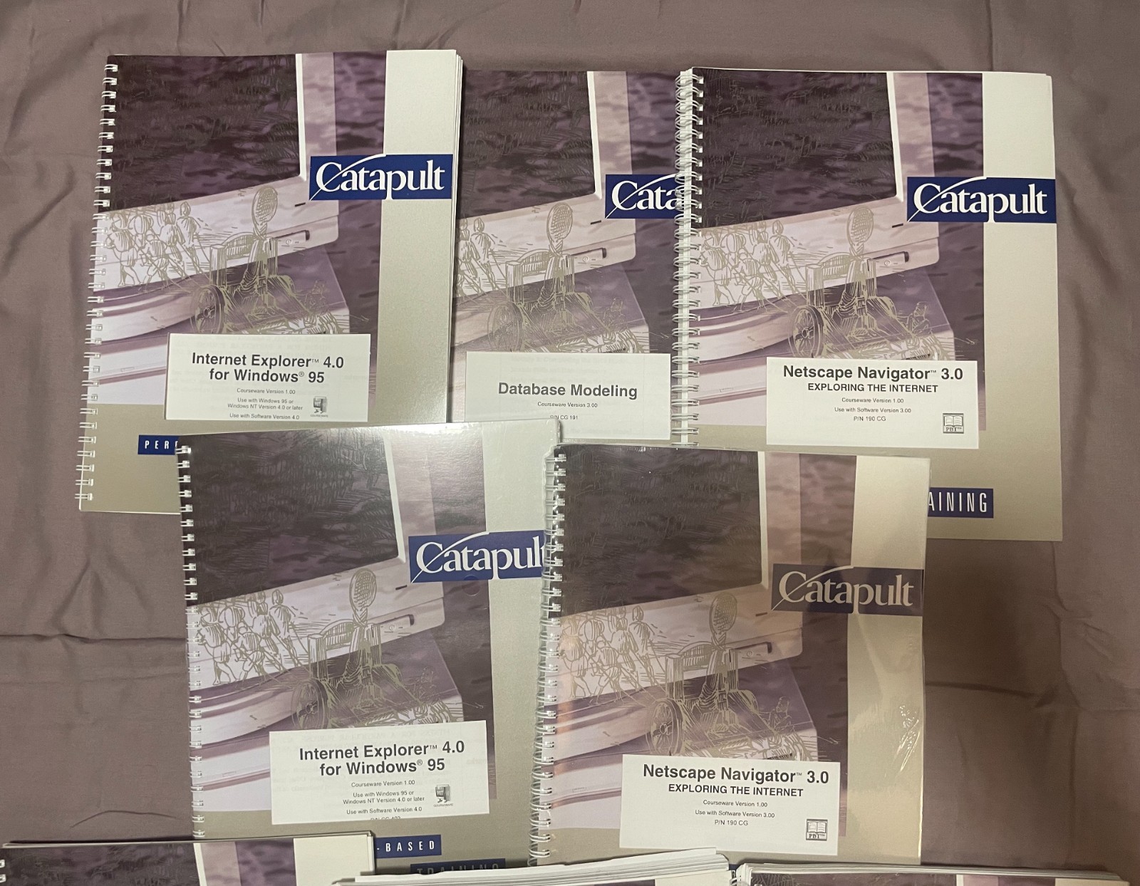 8 Vintage Catapult Windows Microsoft Internet Explorer 90s Books Educational