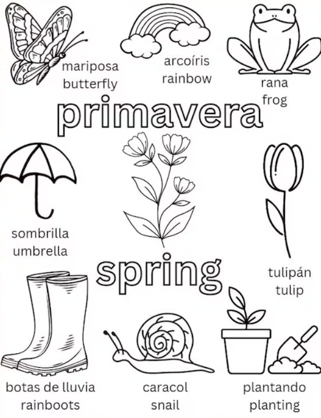 Spanish English Coloring Sheets for kids PDF Printable.