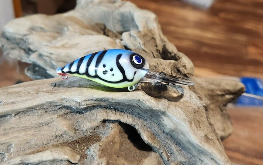 custom painted Wiggle wart crankbait (BLUE CRAW )