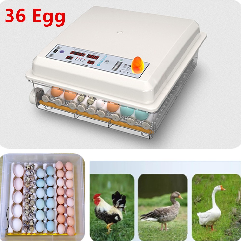 36 Egg Incubators for Hatching Eggs with Automatic Egg Turning and Egg Candler
