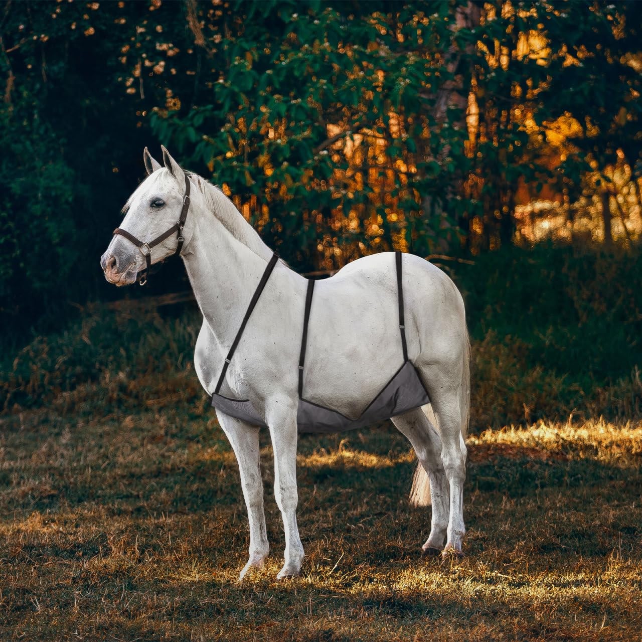 Horse Belly Guard Mesh - Adjustable Fly Sheet for Adult Horses, Breathable UV...