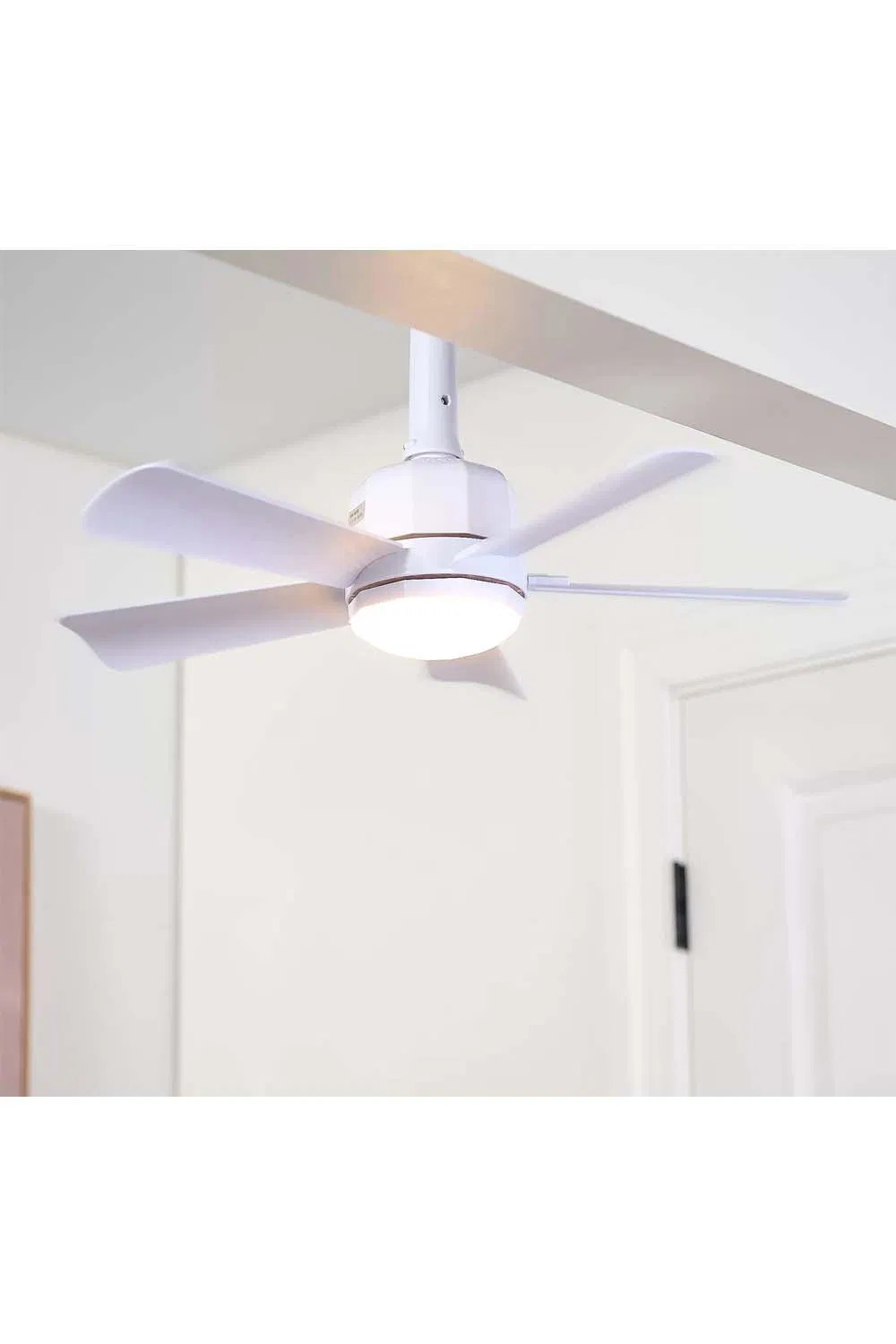 Cascade Pro 2-in-1 Socket 19" Ceiling Fan & LED Light