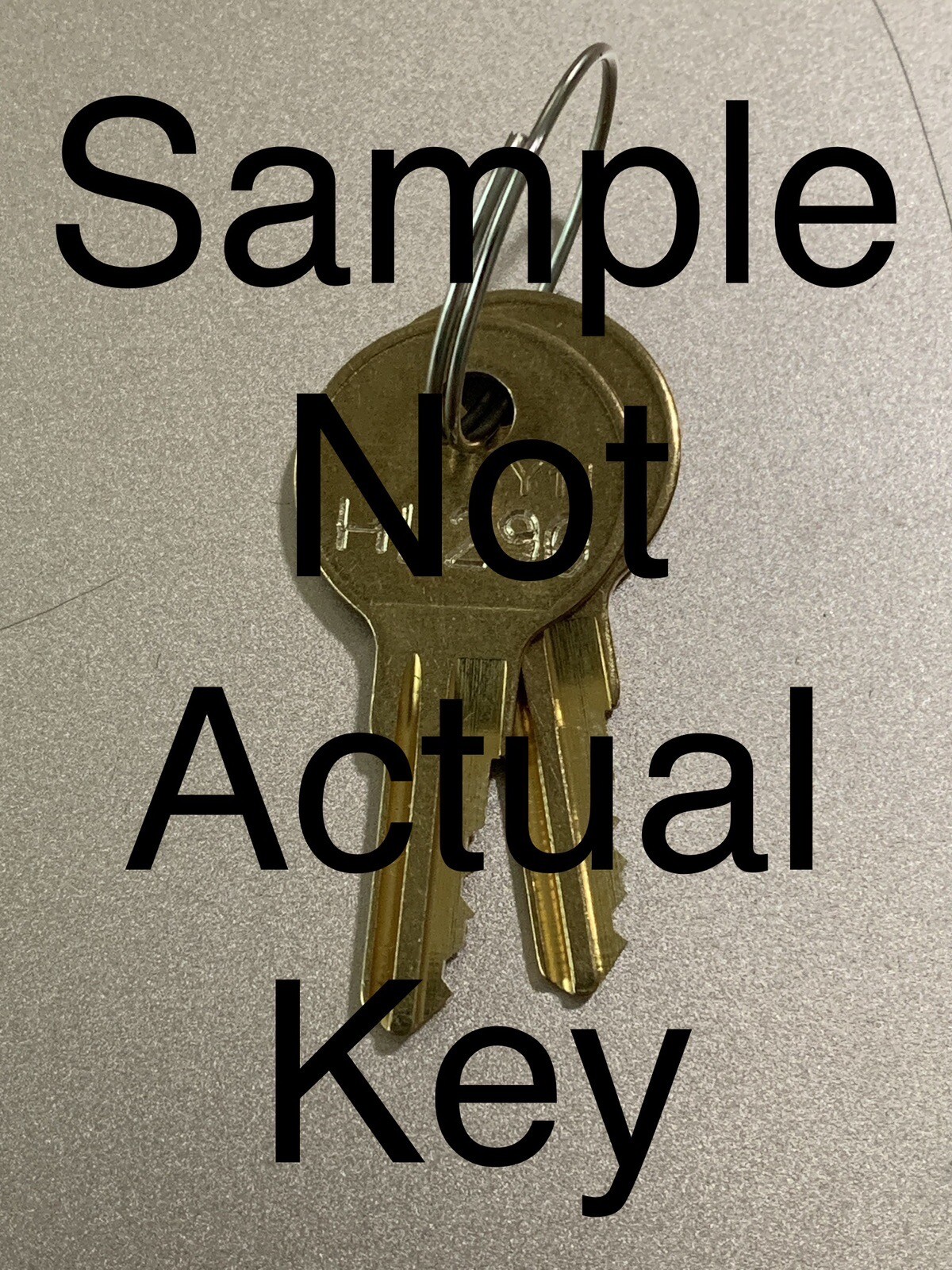 LL226-LL427 2 1041T Keys for Various Compatico Meridian Locks Cut to Your Code