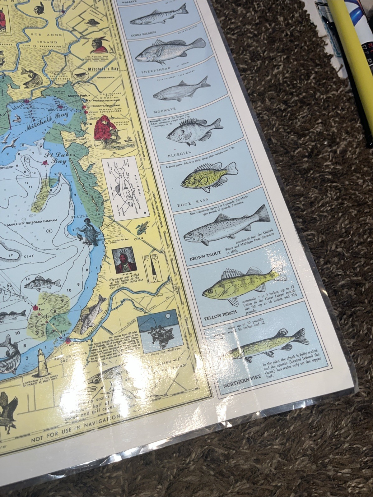 Nautical Fishing Chart Lake St Clair Michigan Laminated Map