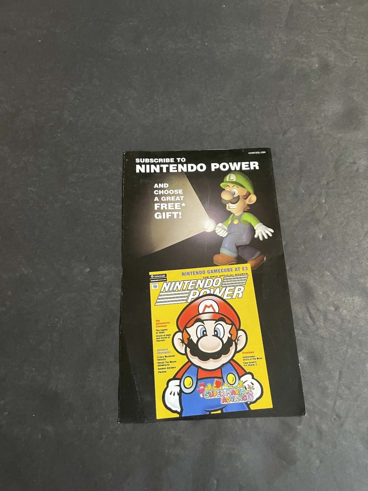 Luigi Insert gamecube Hw-dol-usa