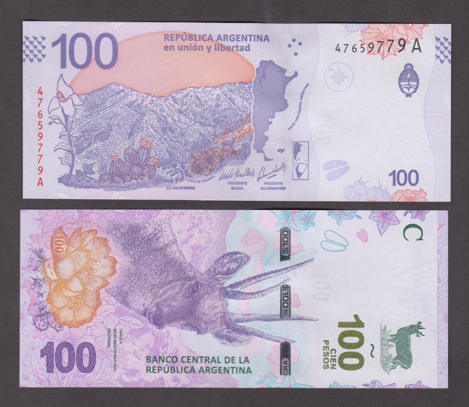 ARGENTINA P.NEW  100 PESOS SERIE A DEER "TARUCA"  UNCIRCULATED  WE COMBINE