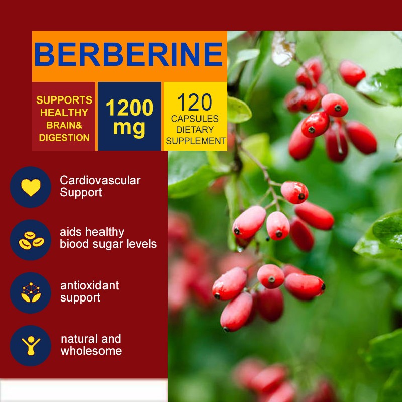 120 Capsules Premium Berberine HCL 1200mg High Potency Blood Sugar Support US