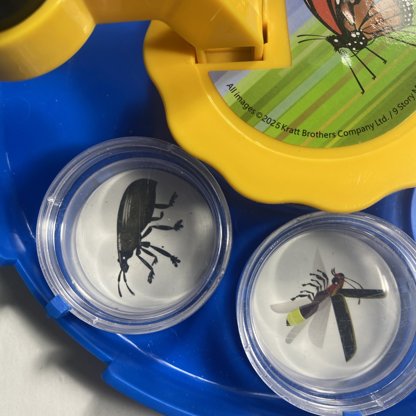 All Images Bug Viewing Kit By Kratt Brothers Ltd.