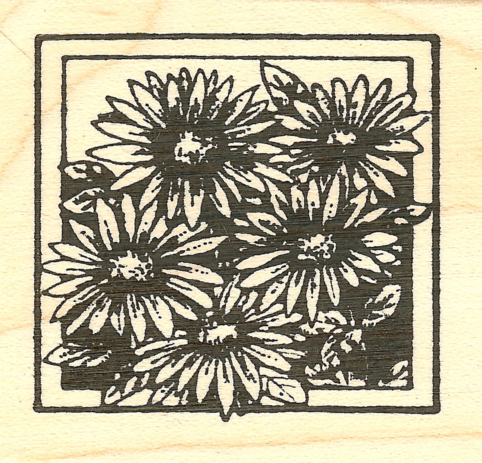 Wild Aster Square, Wood Mounted Rubber Stamp NORTHWOODS - NEW, CC9773