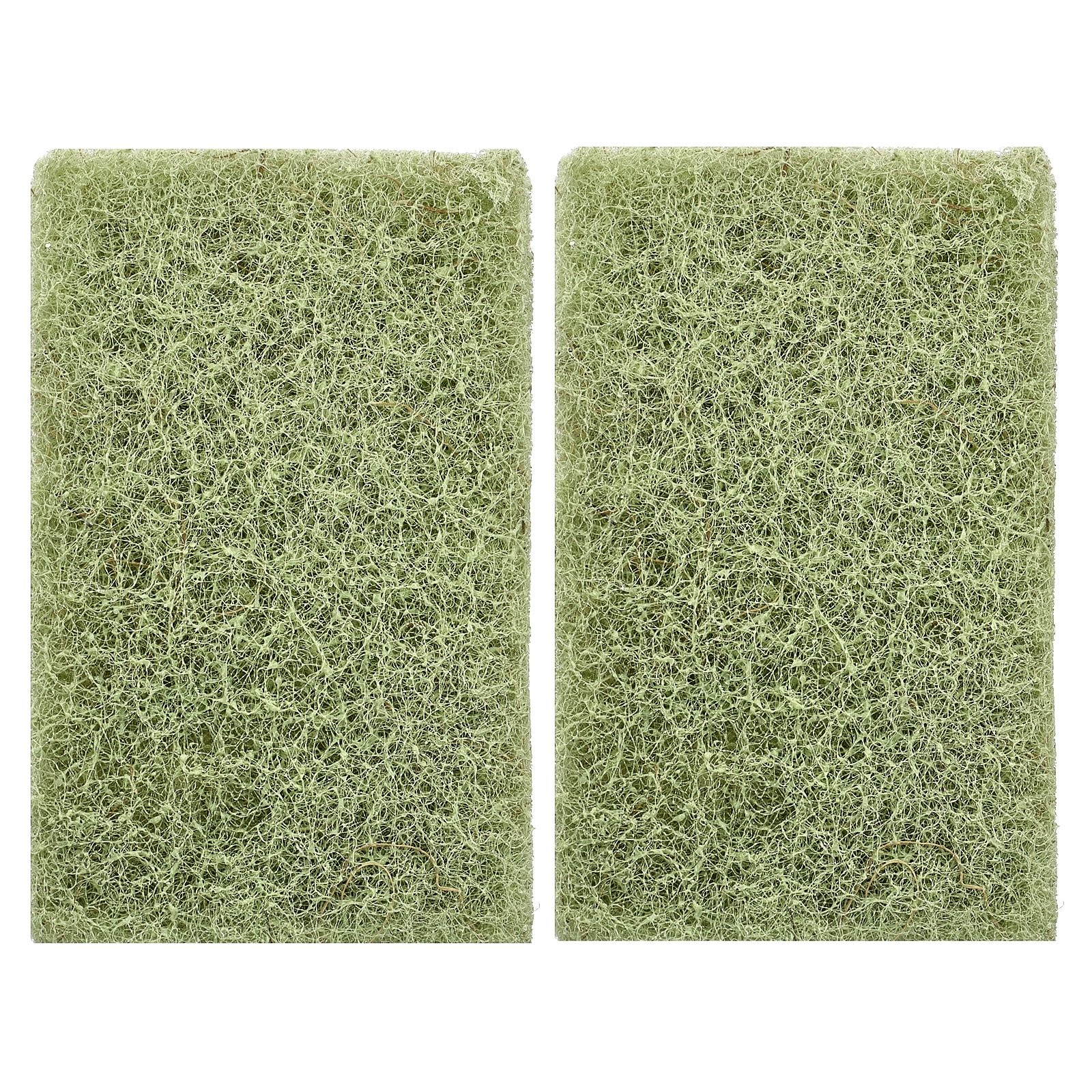 Agave Leaf Scrubber Sponge, 2 Count
