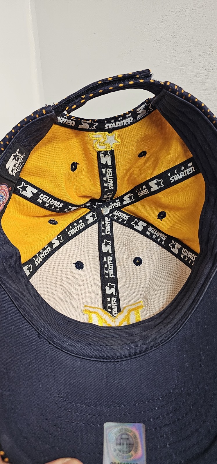 Vintage Michigan Wolverines Starter Hat