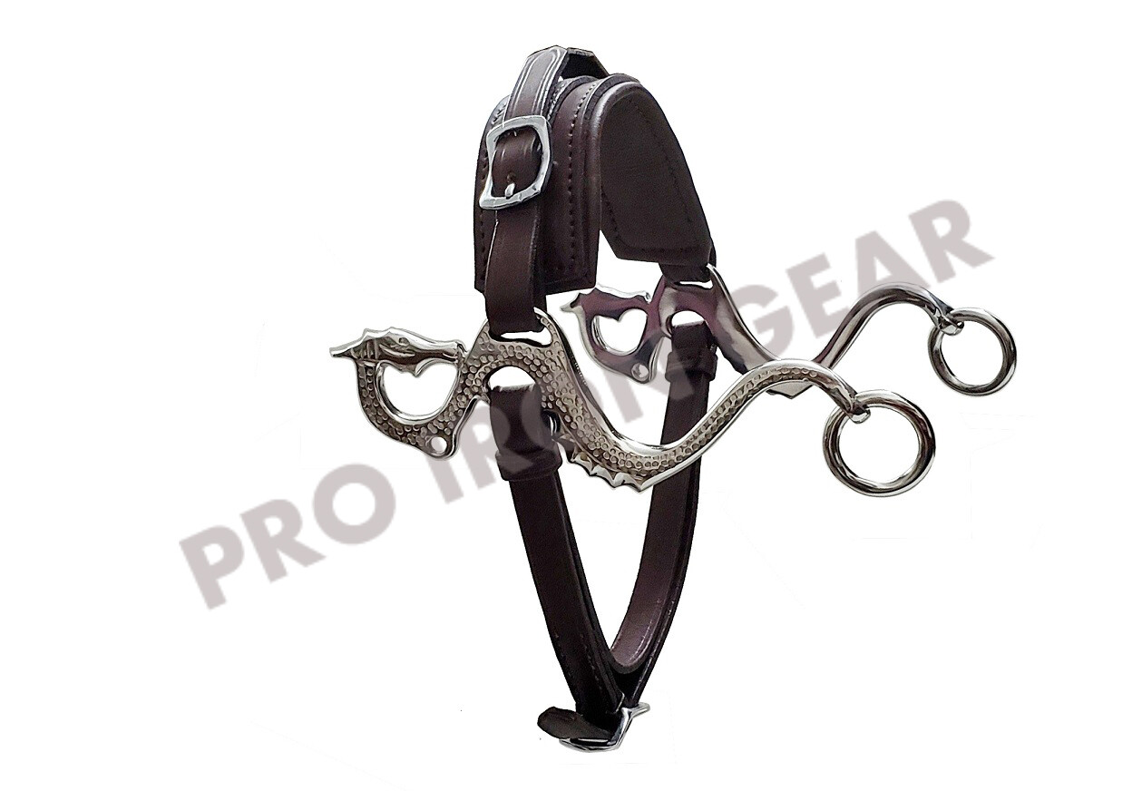 DRAGON Hackamore Bitless Horse Bit English Western Adjustable Leather (BROWN)