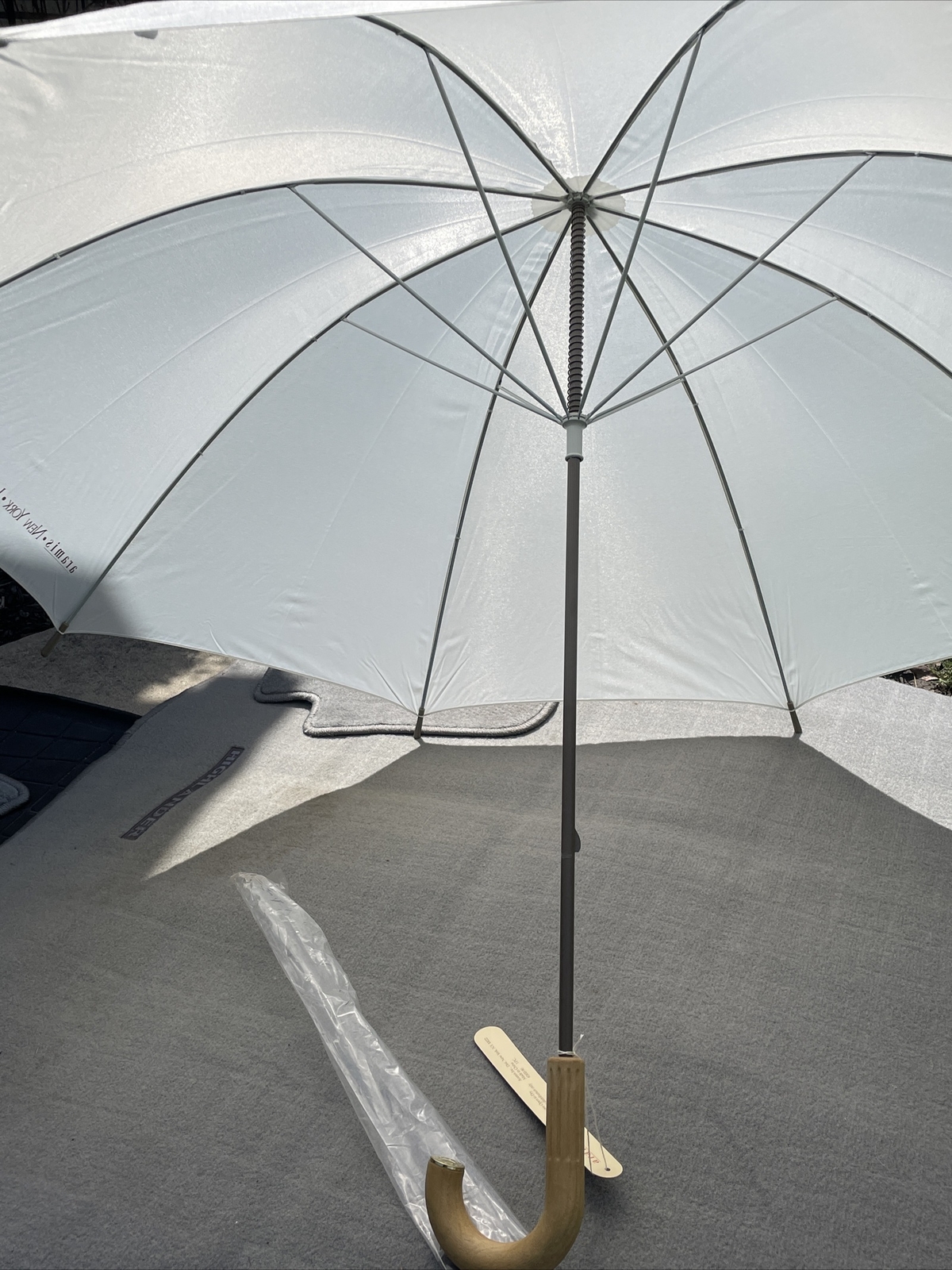Aramis The Great Big Umbrella Gray Cane Type NWT