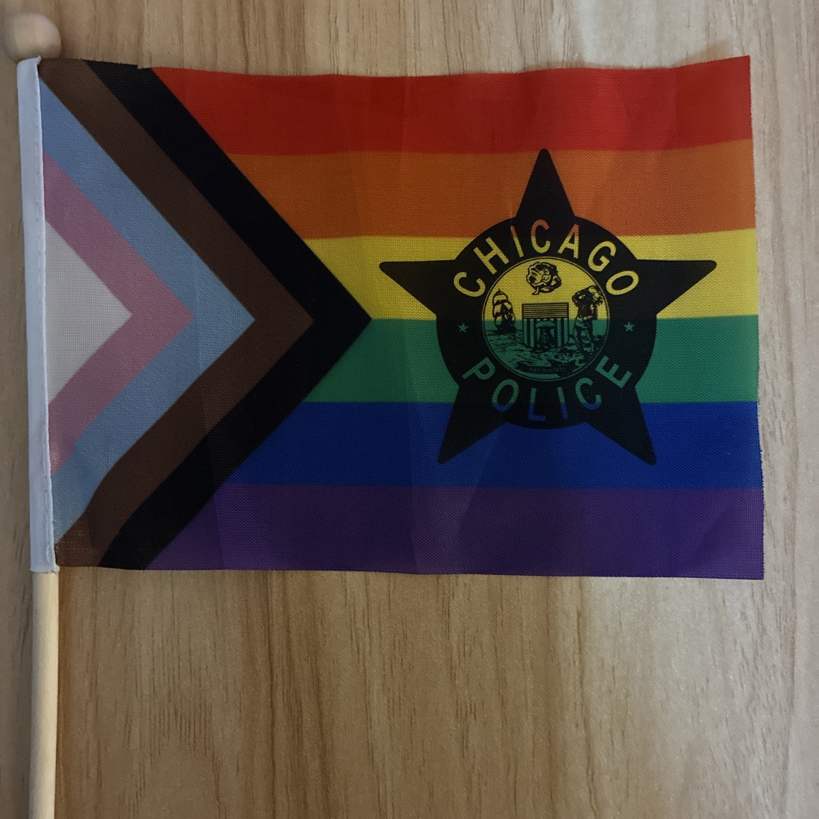 Chicago Police Hand Held Pride Flag