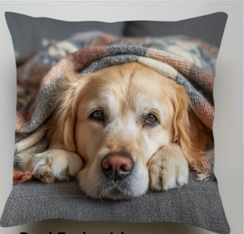 Golden Retriever Dog--Zippered Pillow Cover-14 x 14-inch