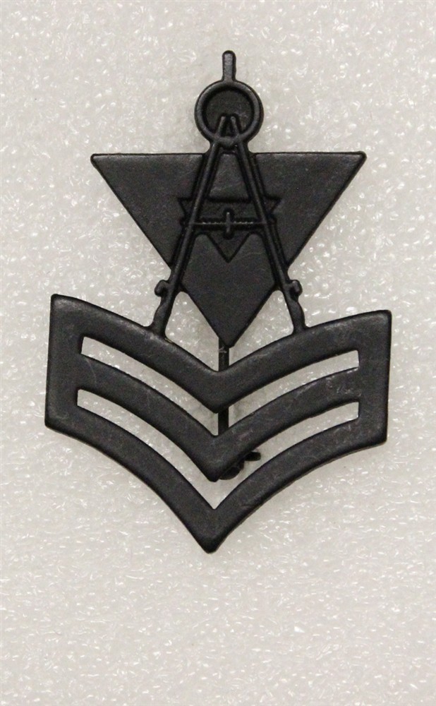 Cap Badge 745: U.S. Navy PO-1, Illustrator Draftsman - p/b, nhm, subdued