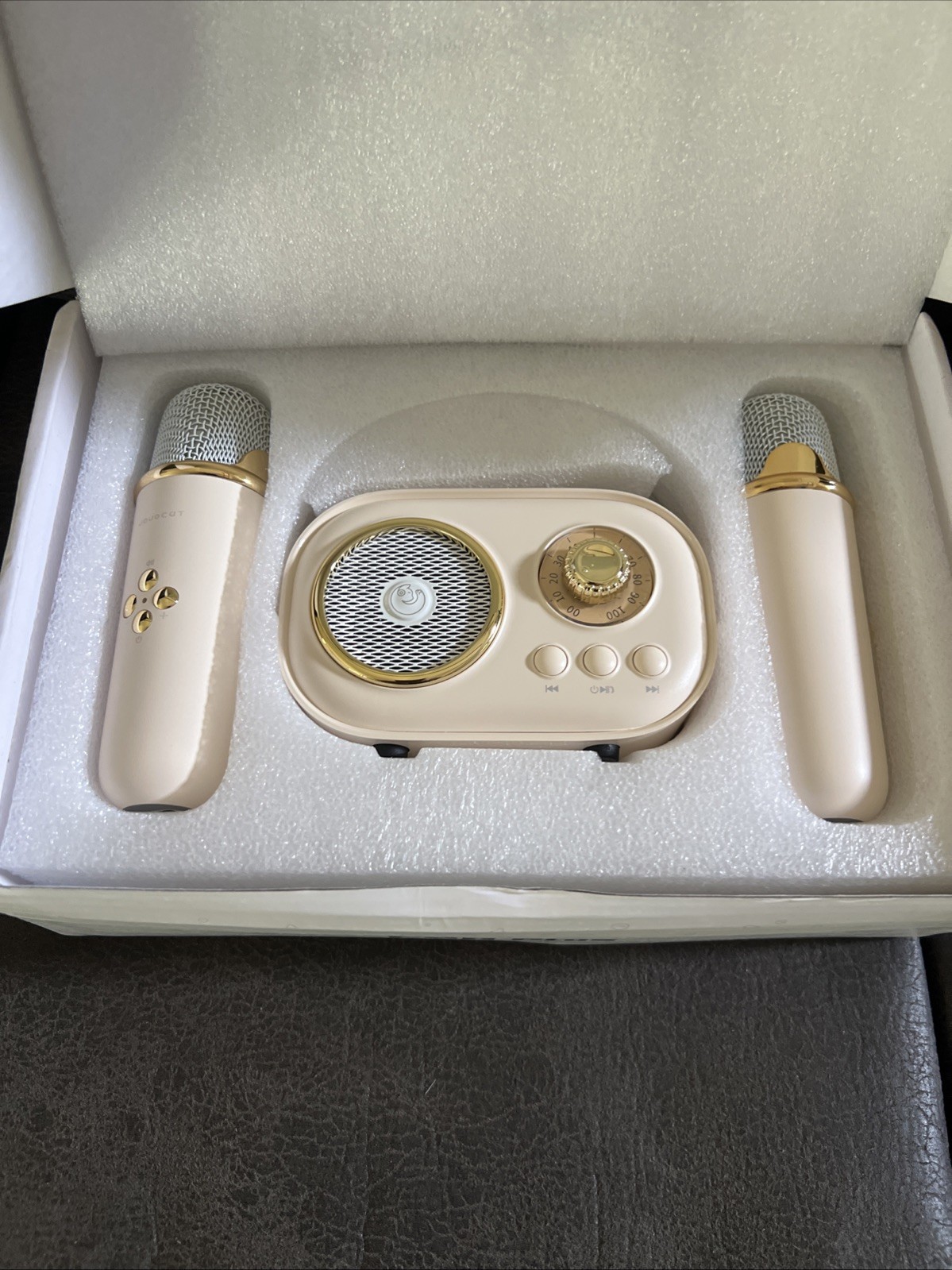 C20 Plus Portable Wireless Mini Karaoke Speaker