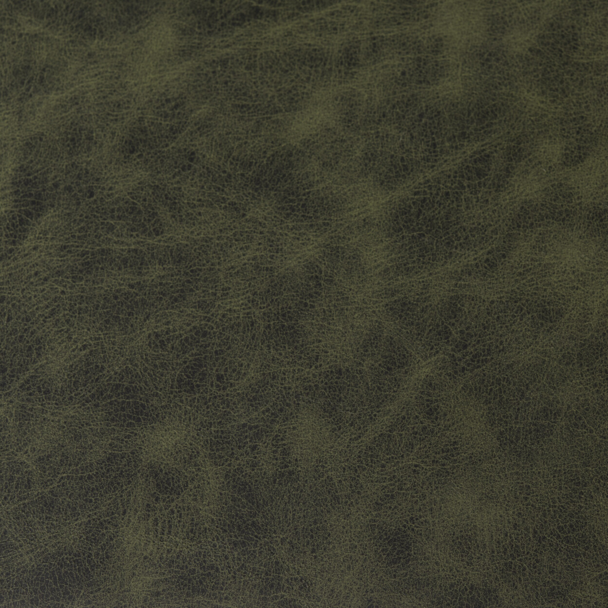 SAFAVIEH Maruka Bench With Storage | Grey Wash / Dark Green |