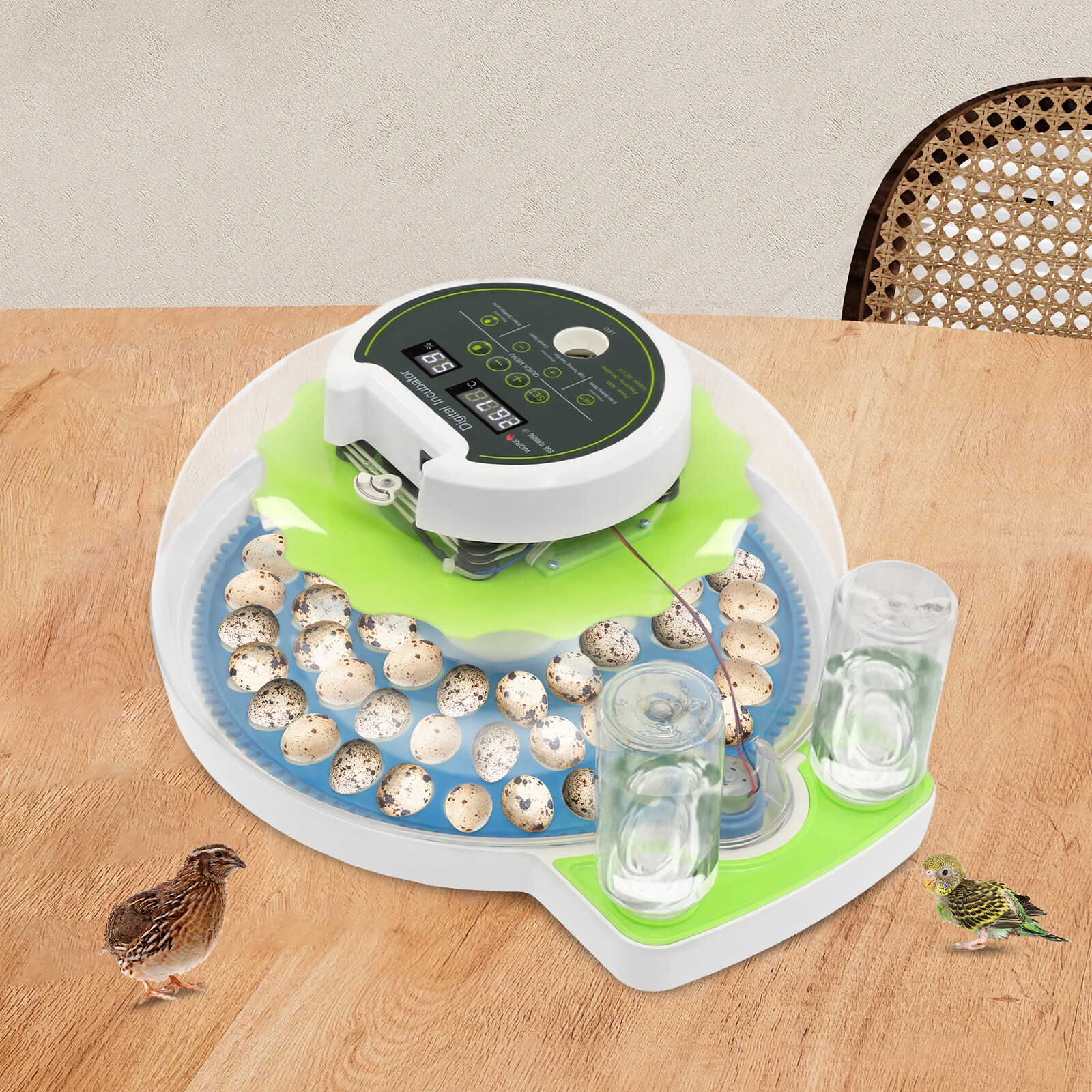 Modern LED Quail Egg Incubator Hatching 60 Quail Eggs Automatic Brooder