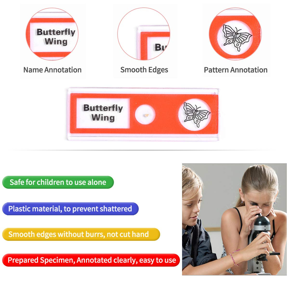 Plastic Prepared Microscope Slides for Kids, 60pcs Animals Insects Plants Flowe