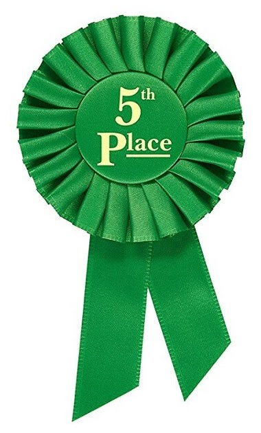 Rosette Premium Award Ribbons 1st 2nd 3rd 4th 5th Place Multipurpose Set