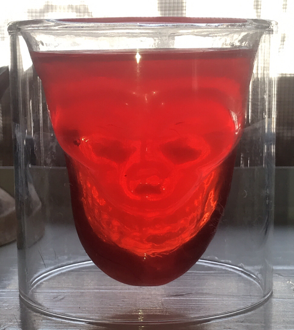 Clear Glass Skull Shot Glass Double Walled Clear 2 oz