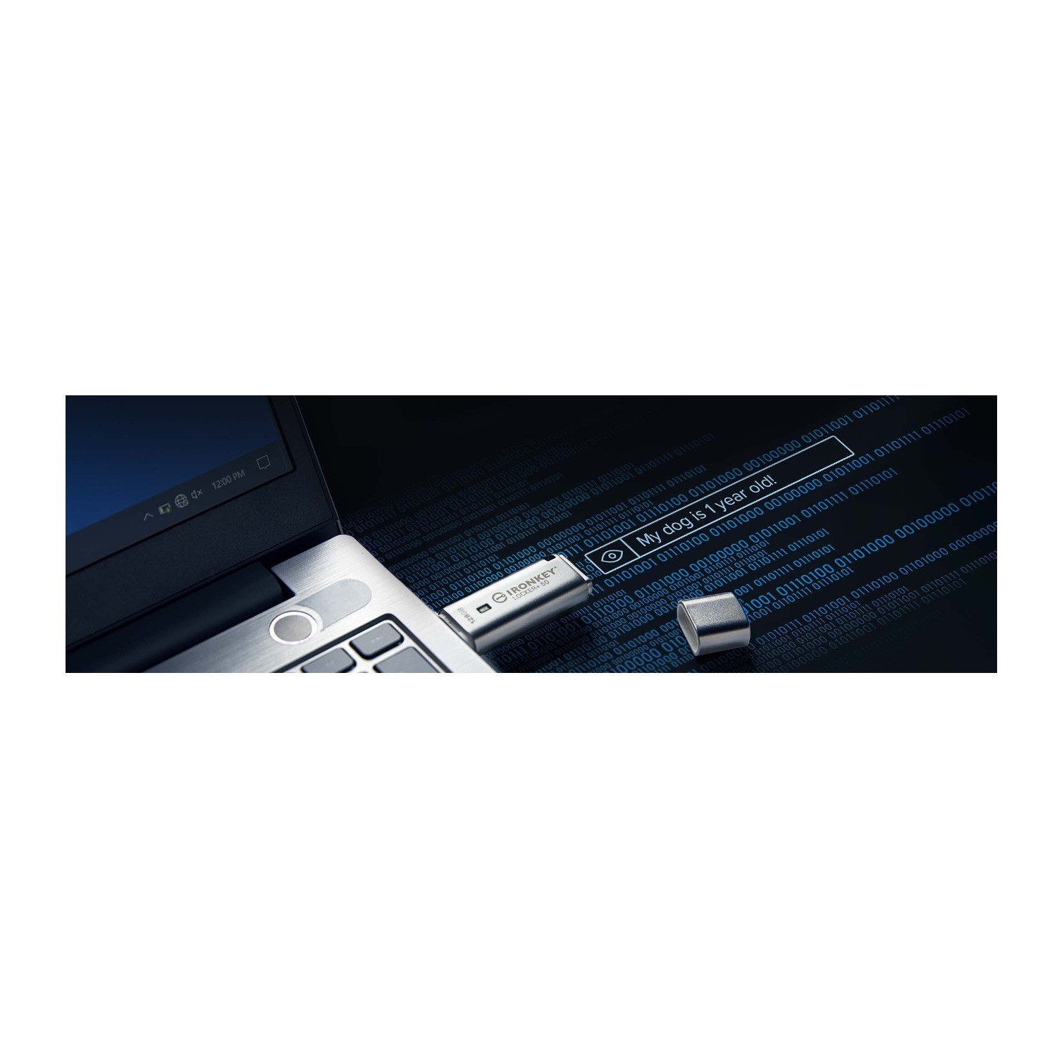 Kingston 128GB IronKey Locker+ 50 USB Type-A Flash Drive Secure FAST
